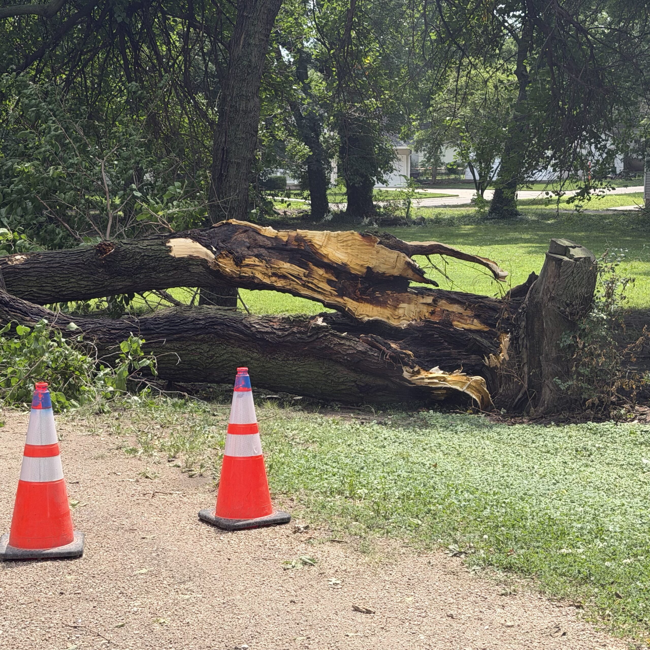 High winds cause localized damage July 4
